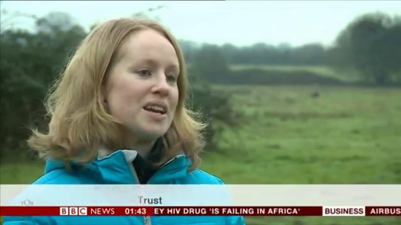 REBECCA MORELLE BBC Asia Business Report 29 Jan 2016 Polecat rebecca-morelle-bbc-asia-business-report-29-jan-2016-polecat