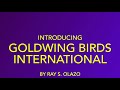 Goldwing Birds International