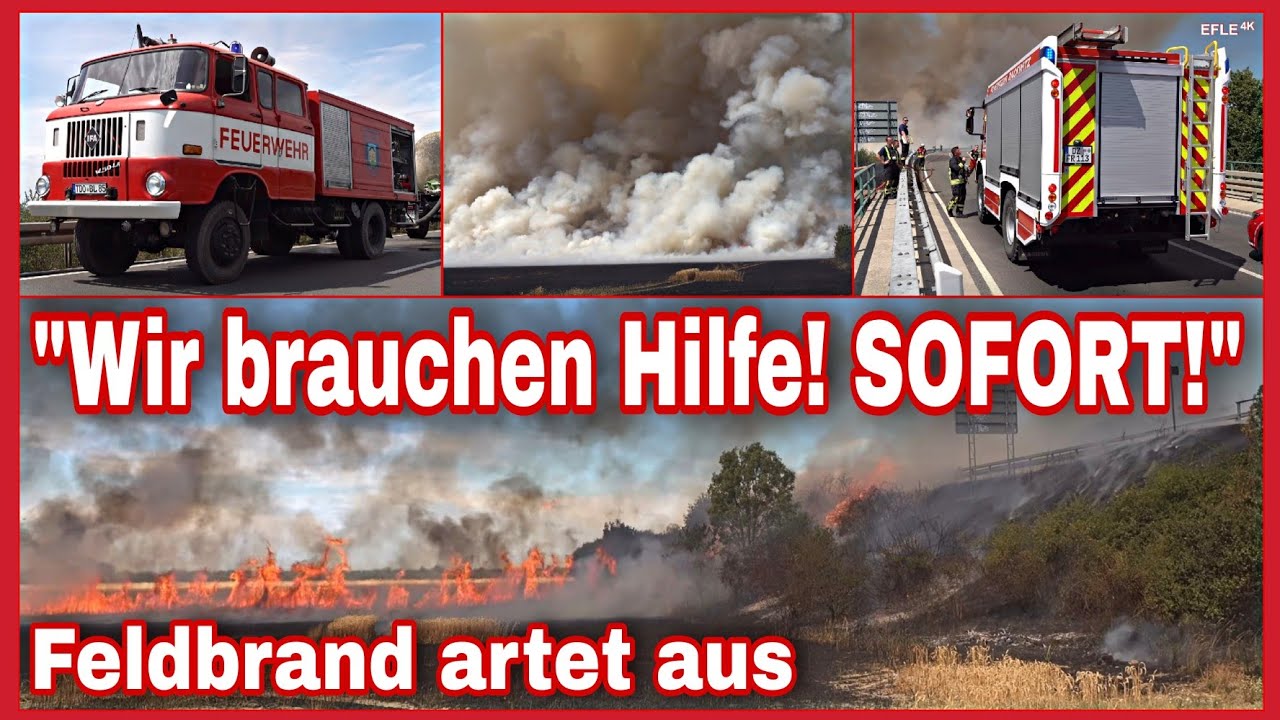 🔥FLAMMENFRONT breitet sich rasend schnell aus⚠️Großbrand im Leipziger Norden🔥🛑EINSATZ AM LIMIT🚒🚨