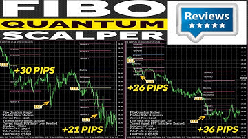 Fibo Quantum Scalper review | free download |