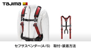 セフサスペンダーA フリーサイズ 銀｜【SEG】サスペンダー｜TAJIMA