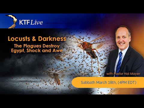 KTFLive: Locusts and Darkness - The Plagues Destroy Egypt’s, Shock and Awe