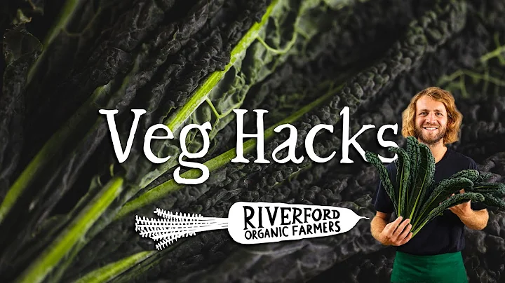 Cavolo Nero | How to make the PERFECT crispy "seaw...