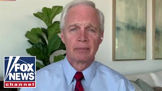 Election concerns won't be 'swept under the rug': Sen Johnson