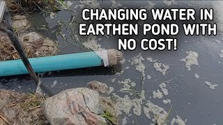 How to change water regularly in earthen pond with no cost by AniBusiness 134 views 5 months ago 2 minutes, 17 seconds