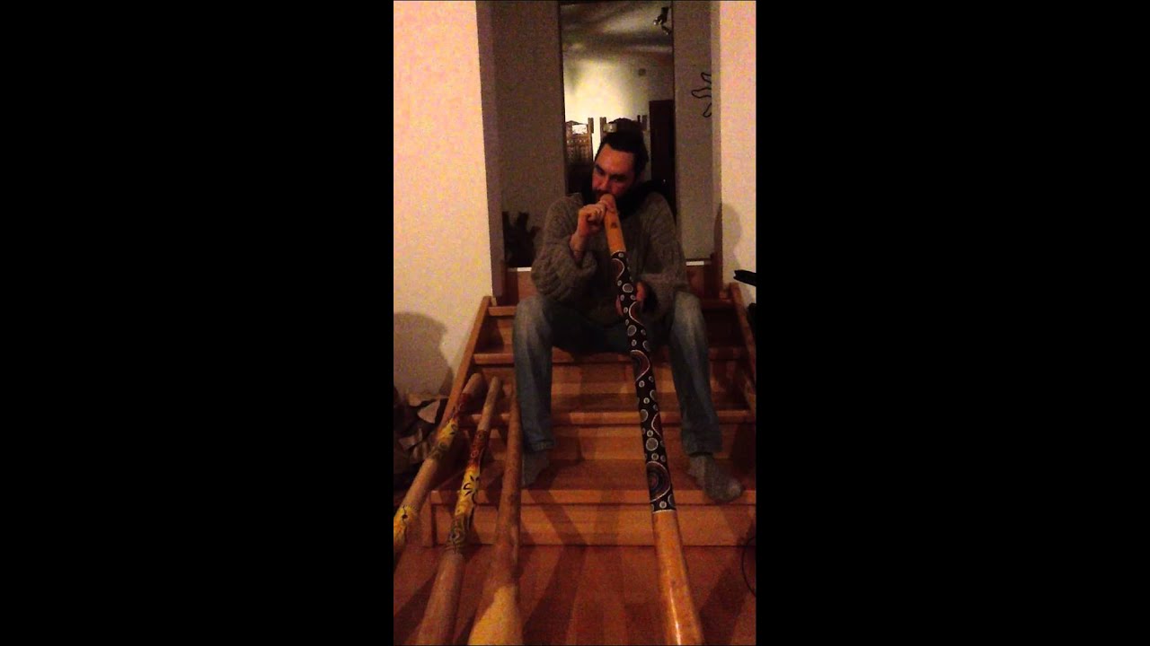 Eukalyptusdidge 004.MOV