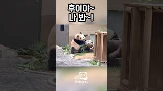 26.03.16 후이야 나 씻었어(?)ㅋㅋㅋㅋㅋ🤣 #shorts