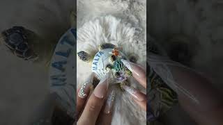 ASMR Malta Fridge Magnets Fast Scratching &amp; Tapping