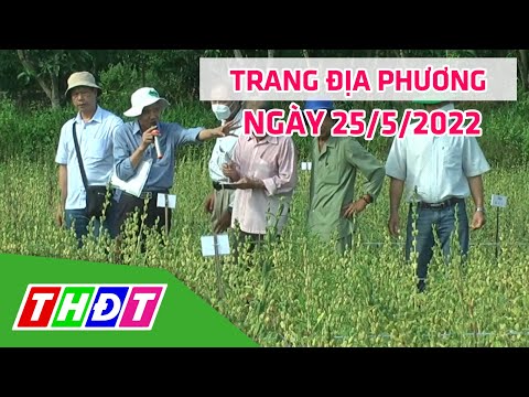 Video Trang địa phương | 25/5/2022 | H.Cao Lãnh - Hỗ trợ... - youtube