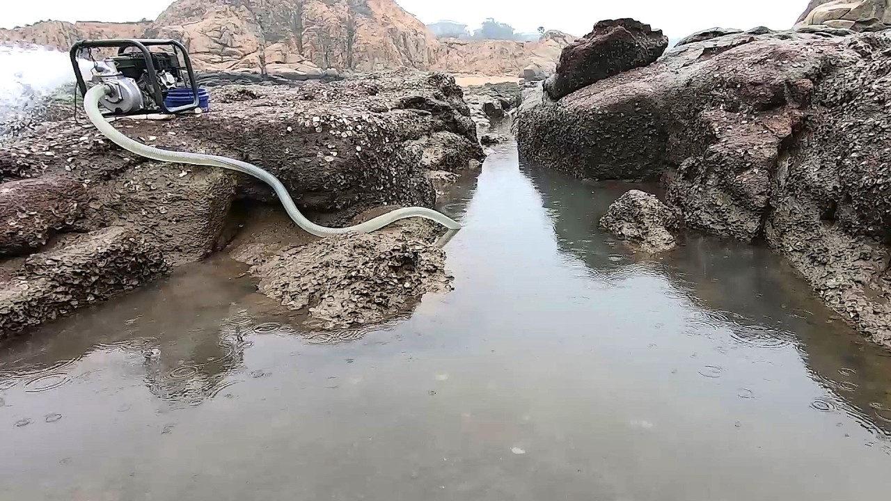 30米长的水坑挺耗油，终于抽干后下去捡鱼了，底下有鱼群乱窜啊