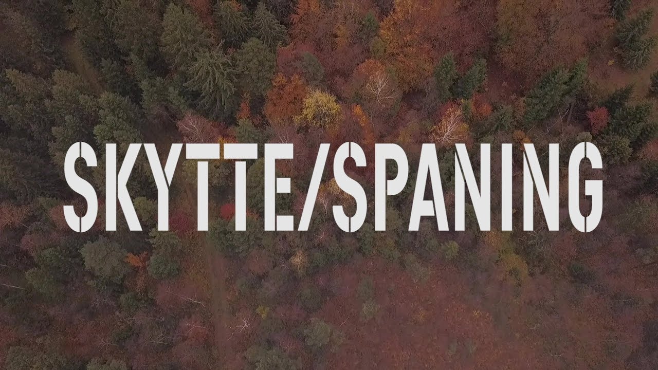 Specialistofficer Skytte/spaning