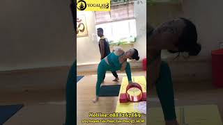 🌻 Tập Yoga trẻ hóa toàn thân là một cách hiệu quả để chăm sóc làn da của bạn từ bên trong.