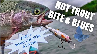 Insane Trout Bite and Blues: What I do for a living (Part 1)
