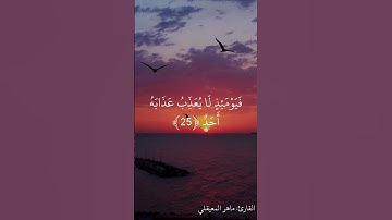 تلاوة خاشعة مؤثرة لأواخر سورة الفجر
