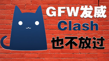 GFW发威？Clash也不放过！Clash无法使用解决方法，GFW居然把Clash-DNS墙了！