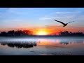 Flying Piano Strings By Rabelius Piano And Nature