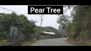 Pear Tree, St Andrew, Jamaica
Pear Tree is a district located near Gordon Town in the Blue Mountain foothills of St Andrew, Jamaica (Caribbean).
⭐ Points of Interest:
0:00 Intro
0:24 Craig Hill
0:37 The Cooperage to Guava Ridge Road (also Mavis Bank Road)
0:47 Pear Tree
2:11 Clark Road
2:14 To Dublin Castle
2:17 Dublin Castle Church of God of Prophecy
2:55 River Forest Cottages
4:37 Violet Bank
4:49 Remnant Assembly Of Yahvah 7th Day Church (Violet Bank)
LOCATION:
Find this place on Google Maps.
➤ https://maps.app.goo.gl/SdrzXQV34X74aNkHA
2026 Jamaica Road Trip
#InJamaica #Jamaica #PearTree #PearTreeJamaica #PearTreeStAndrew #StAndrew #StAndrewJamaica Pear Tree, St Andrew, Jamaica