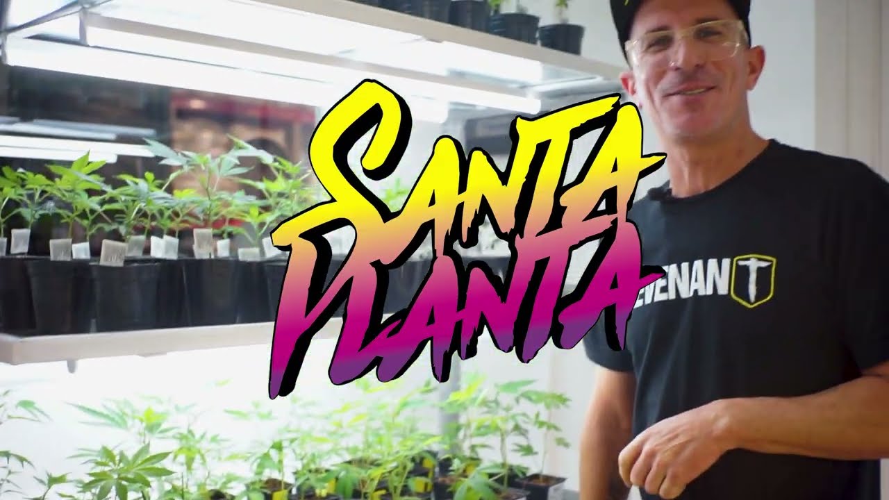 Conocé nuestra sala de cultivo legal