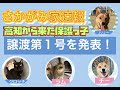 【速報】早くも譲渡決定！？高知からきた保護っ子達の成長と別れ