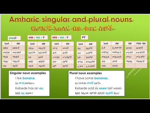 Amharic singular and plural nouns   የአማርኛ ስም ነጠላና ብዙ ቁጥር