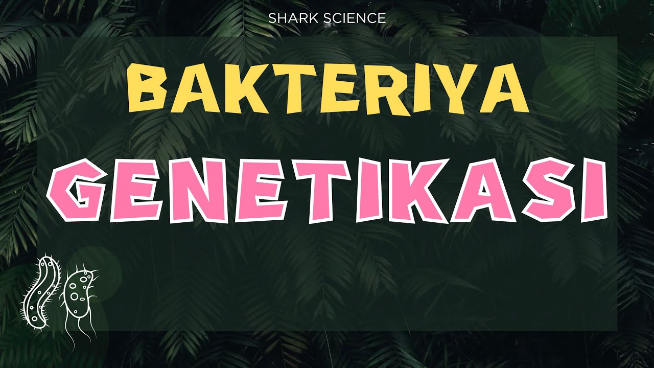 ʙᴀᴋᴛᴇʀɪʏᴀʟᴀʀ ɢᴇɴᴇᴛɪᴋᴀsɪ | ᴍɪᴋʀᴏʙɪᴏʟᴏɢɪʏᴀ