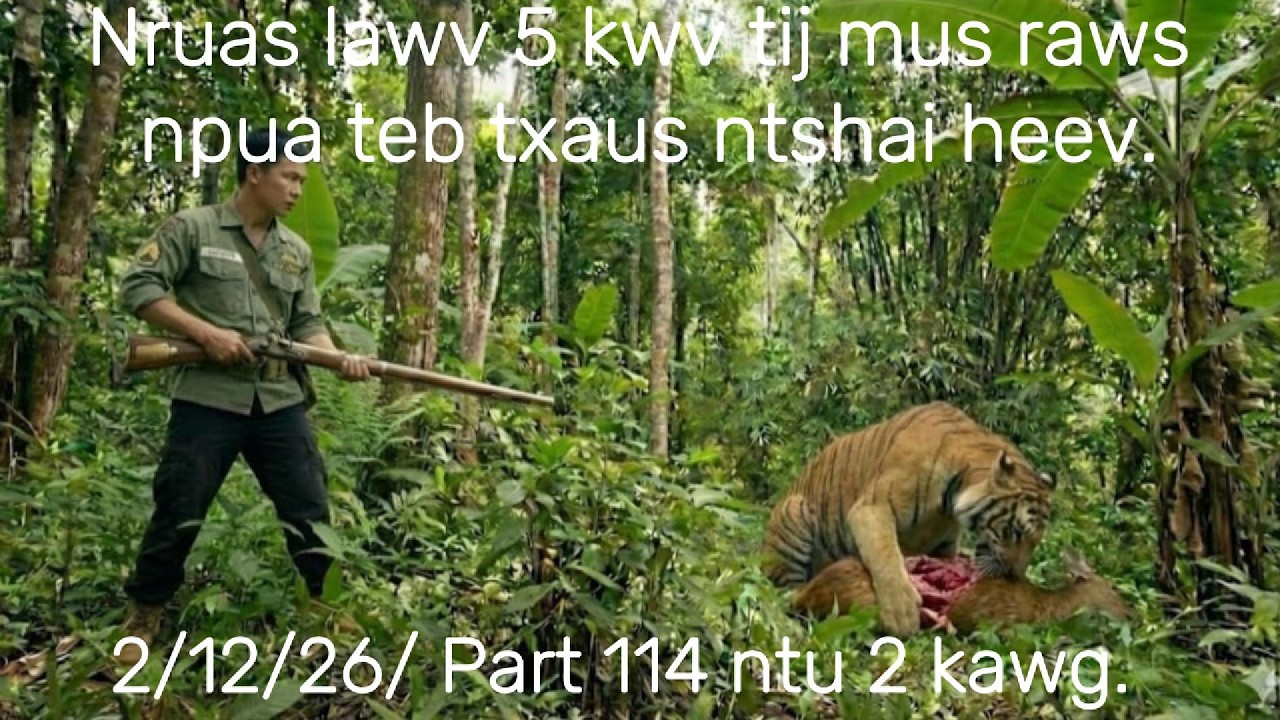 Nruas lawv 4 kwv tij mus raws kauv tsov los tom kauv txaus nshai kawg.