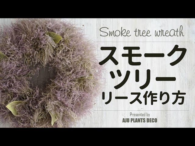 スモークツリーのリース作り方【 Smoke tree Wreath 】 - YouTube