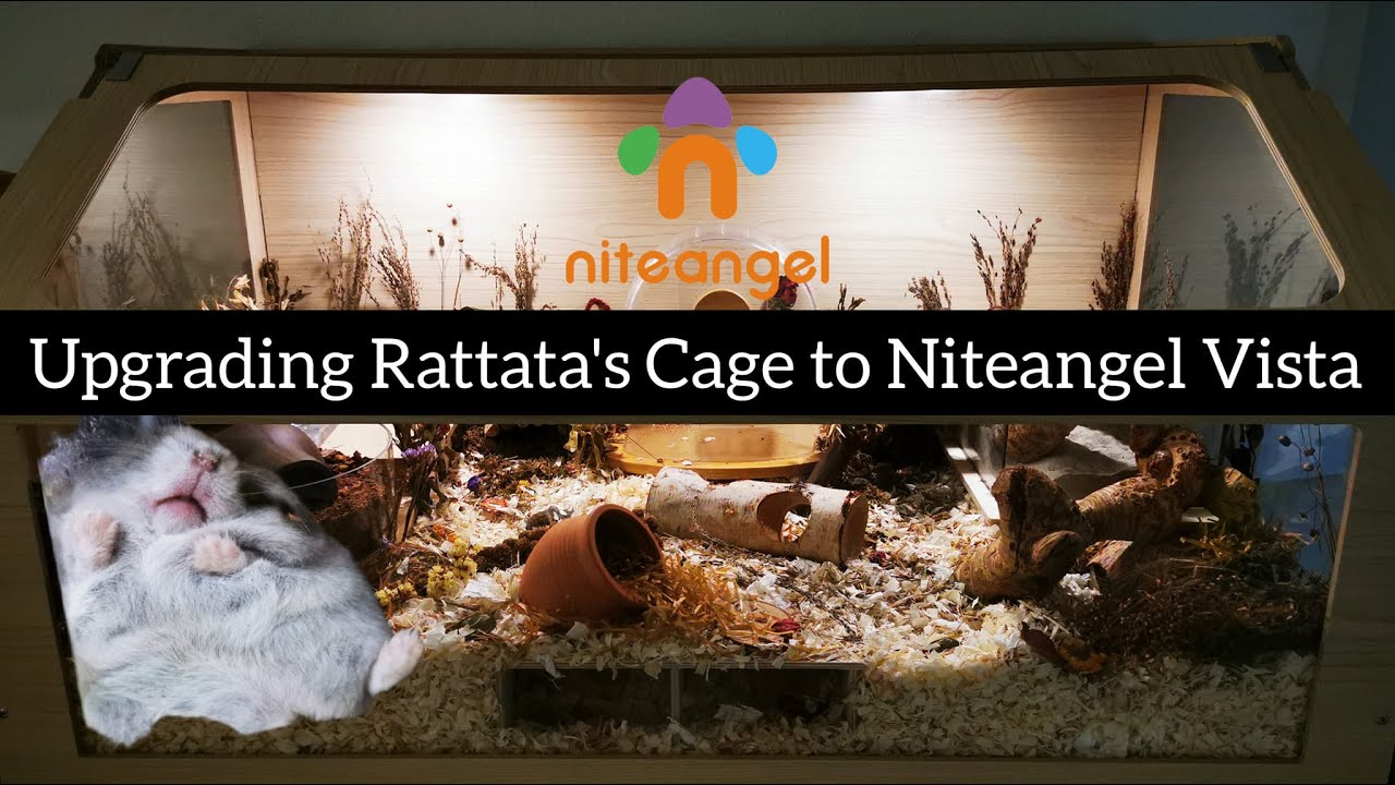 Upgrading My Hamster's Cage from Acrylic to Niteangel Vista