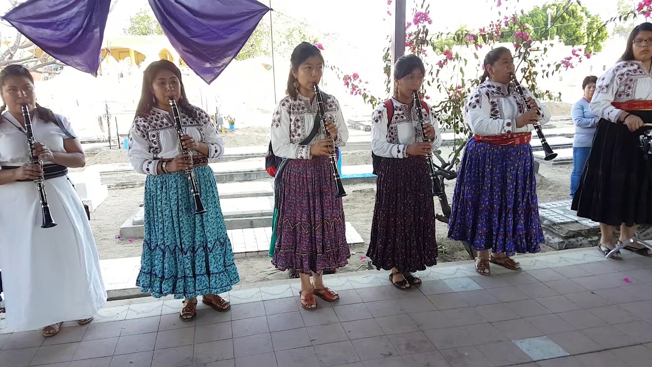 BANDA FEMENIL MUJERES DEL VIENTO FLORIDO FERIA 2019 SANTO DOMINGO TONAHUIXTLA PUEBLA.. camera iphone 8 plus apk
