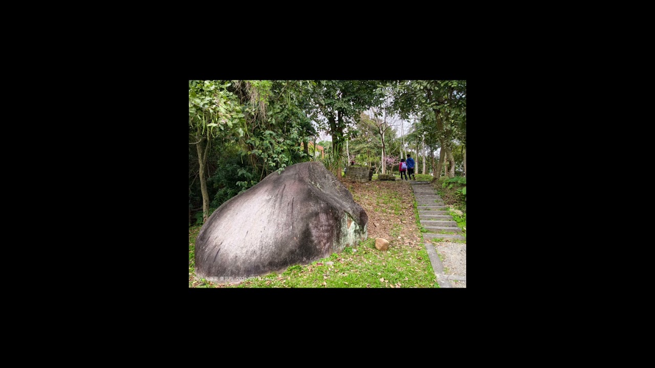搭捷運健走賞櫻花趣：✴️捷運東湖站：五分吊橋遺構、樂活公園賞櫻花✴️捷運大湖公園站：大溝溪生態池、大溝溪山、米粉坑溪園區