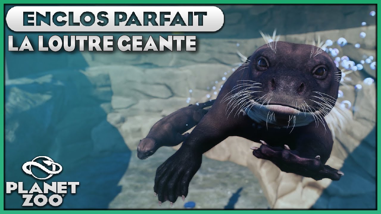 Les Loutres Géantes (et Bassin) | LES ENCLOS PARFAITS : EPISODE 43 | PLANET ZOO