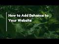 How to Add Behance to Your Website
