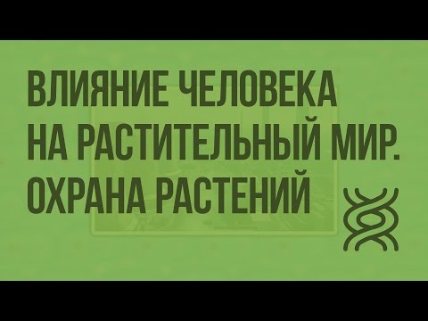 Влияние человека на растительный мир, охрана растений. Видеоурок по биологии 6 класс