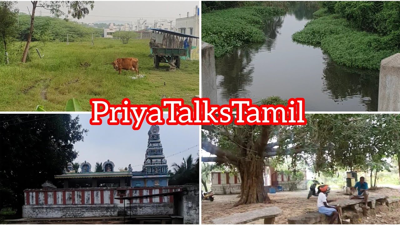 || நீங்கள் நகரத்தில் வாழ்கிறீர்களா? இந்த வீடியோவை மிஸ் செய்யாதீர்கள்! || PriyaTalksTamil ||