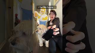 Behind the Scenes: The 360 Tutorial & Result 🐶 @TheJessiiShow #TheManniiShow.com/series