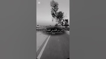 #سورة_الفلق #اكسبلور #المصحف #villagelife #ترند #الرحمن #لايك #القزابري #تيك_توك #الورقات