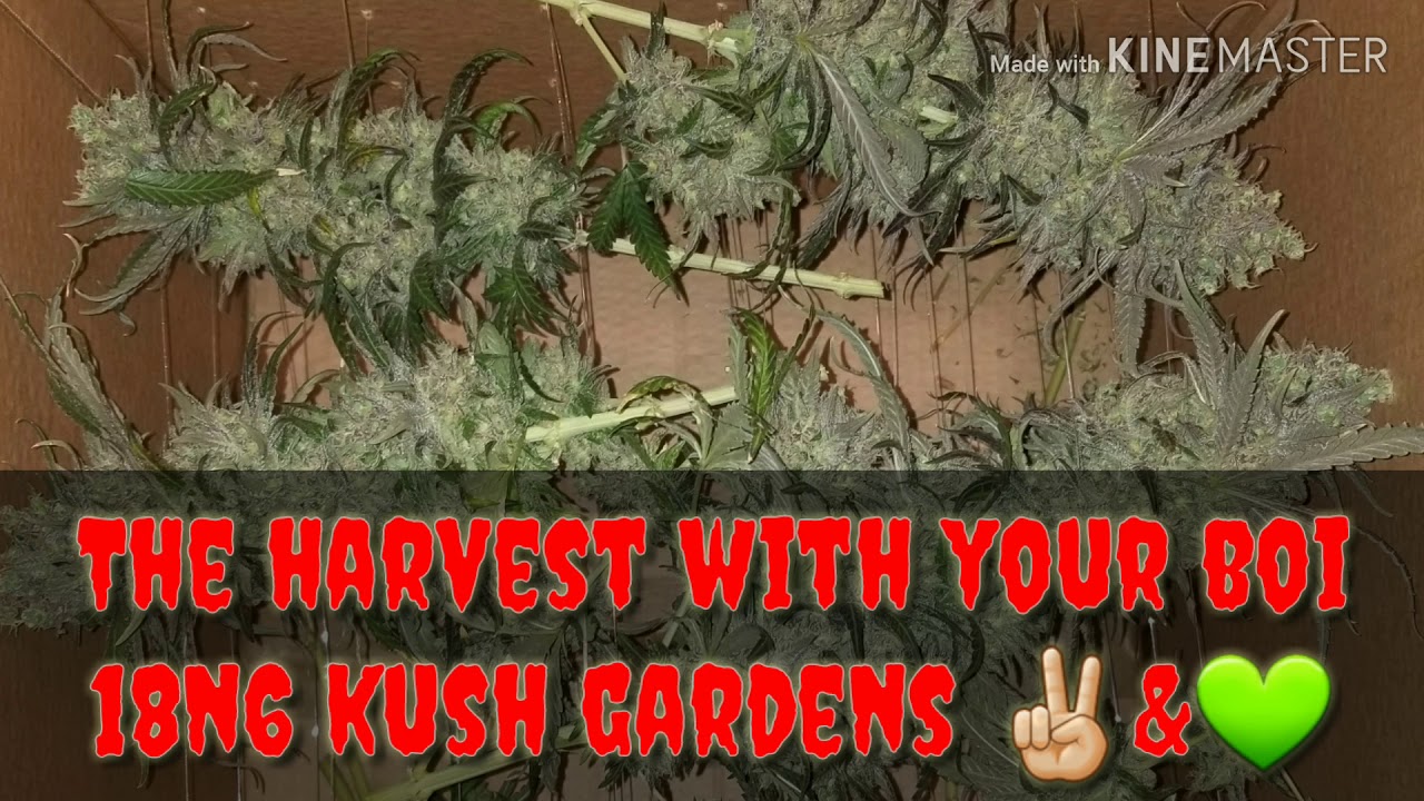 Mail call folks, mail call folks JY420