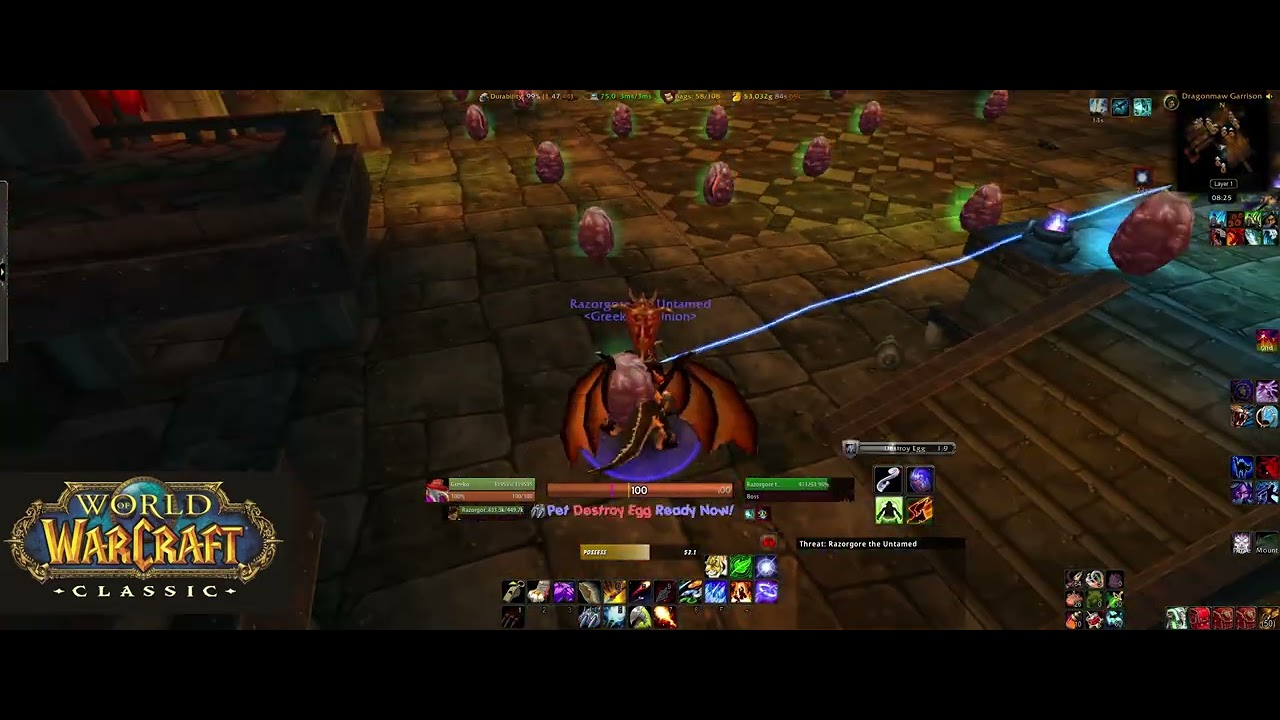 Razorgore solo- Hunter PoV