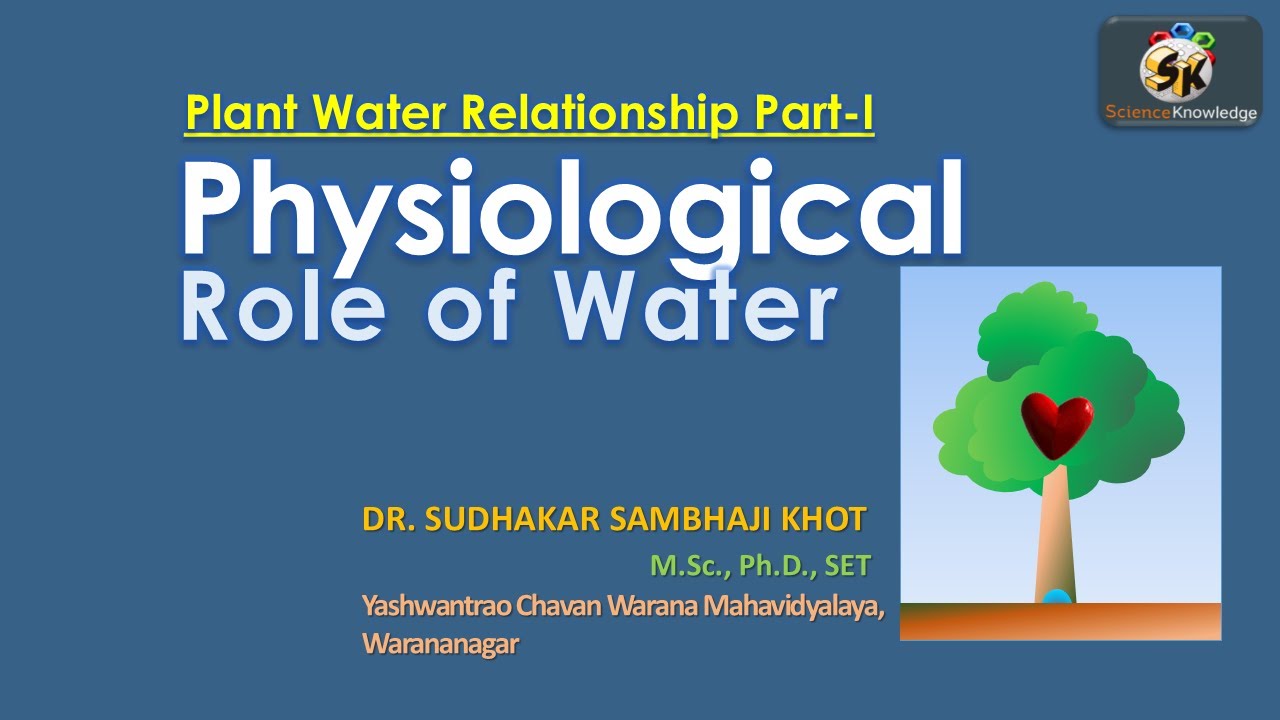 Plant Water Relationship Part I Physiological Role Of Water Youtube
