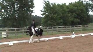 Orca 2011, getting a 70% traing test 3 at nationally recognized
dressage show. rider, ginger coleman. trainer, mindy price.