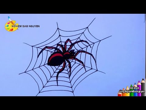 Vẽ con nhện/How to draw Spider | Foci