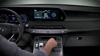 Ray Skillman Hyundai Avon - Operating the Rear Climate Control System   Palisade   Hyundai