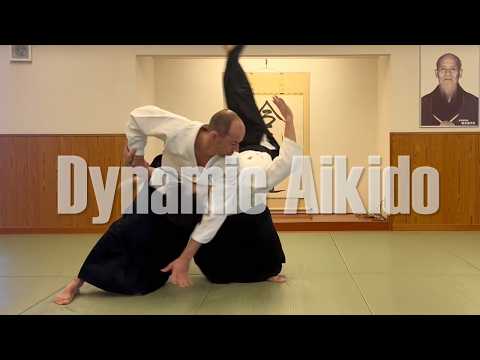 Dynamic Aikido — Freestyle Training