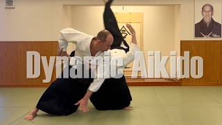Dynamic Aikido - Freestyle Training
