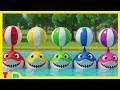 Baby Shark + More Nursery Rhymes and Kids Songs | Tim Time
