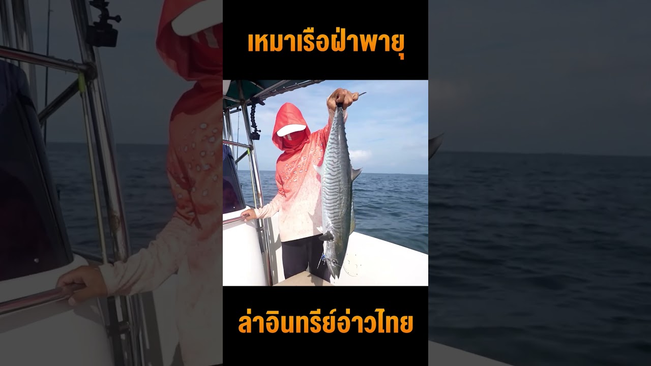 ดีเจภูมิฝ่าพายุ! เหมาเรือตามล่าปลาอินทรีย์อ่าวไทย