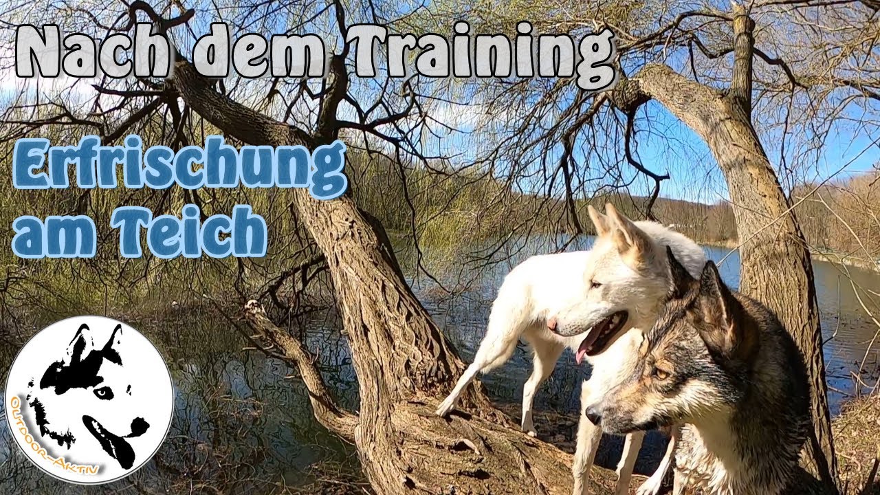 Röderhofer Teich 29 03 2021 YouTube