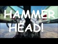 Super Decathlon Aerobatics! Spins, Barrel Rolls, Loops, Hammerheads! 1-23-21