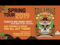 Gov't Mule Spring Tour 2019