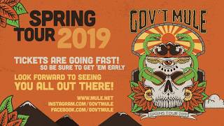Gov't Mule Spring Tour 2019
